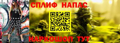 трава Будённовск