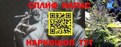 трава Будённовск