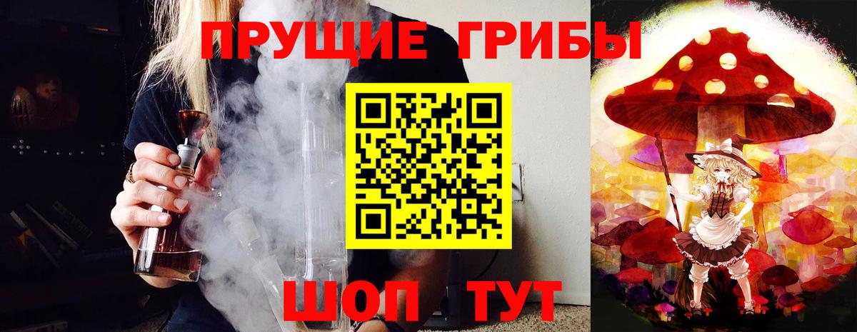 Галлюциногенные грибы Psilocybine cubensis Георгиевск